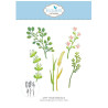 Elisabeth craft design Bloom Wildly Die Floral Greenery 4 by Paper Flowers (2379)