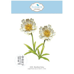 Elisabeth craft design...