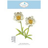 Elisabeth craft design Bloom Wildly Die Blackfoot Daisy by Paper Flowers (2378)
