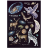 Stamperia Printed Art Junk journal: stickers, cut-outs, backgrounds for Art and Craft - Cosmos