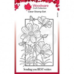 Woodware Clear stamp Cosmos...