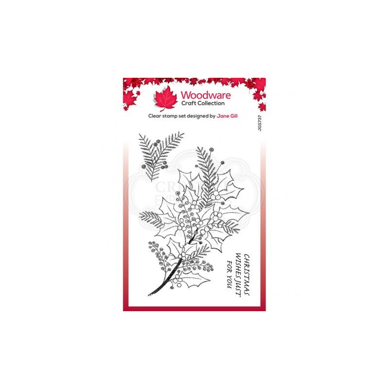 Woodware Clear Stamp sketchy sprigs A6