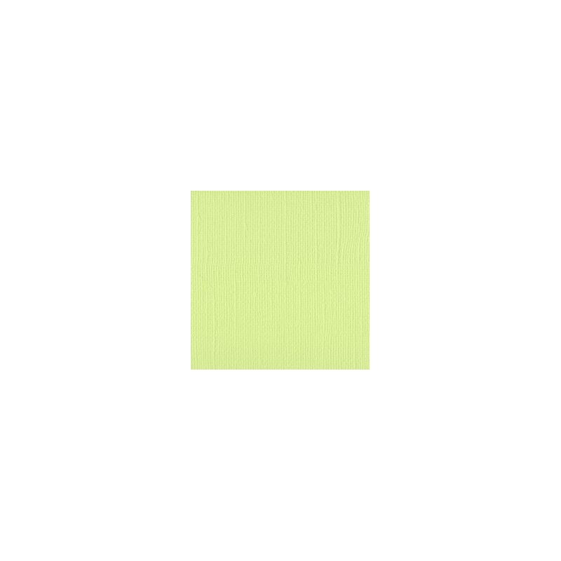 Bazzill Cardstock Limeade 30.5x30.5cm