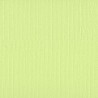 Bazzill Cardstock Limeade 30.5x30.5cm