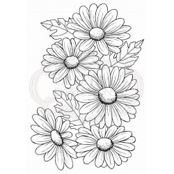 Woodware Clear Stamp "Five...