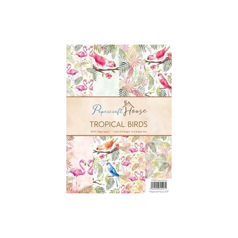Wild Rose Studio‘s A4 Paper Pack Stripes and Tropical Birds a 40 VL