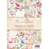 Wild Rose Studio‘s A4 Paper Pack Stripes and Tropical Birds a 40 VL