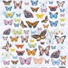 ScrapBoys Butterfly Meadow 1 ST. paper cut out elements DZ 190gr 30,5 x 30,5cm