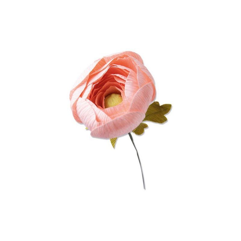 Sizzix Thinlits Die Set - Ranunculus 5PK  Olivia Rose