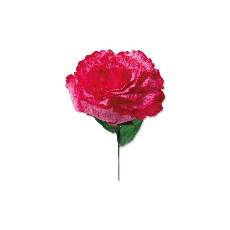 Sizzix Thinlits Die Set - Carnation 4PK  Olivia Rose