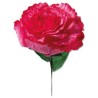 Sizzix Thinlits Die Set - Carnation 4PK  Olivia Rose