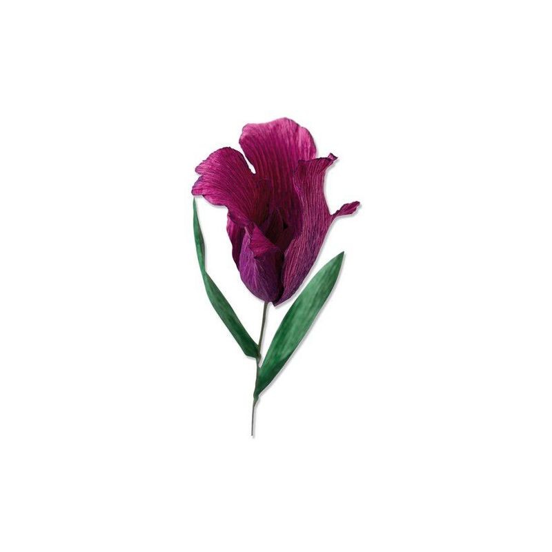 Sizzix Thinlits Die Set - Fringed Tulip 5PK  Olivia Rose