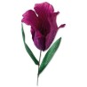 Sizzix Thinlits Die Set - Fringed Tulip 5PK  Olivia Rose