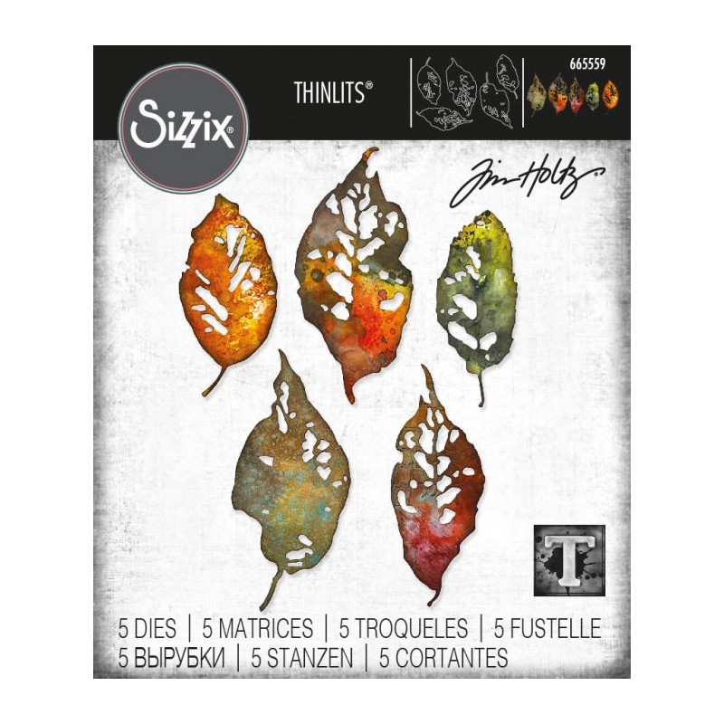 Sizzix Thinlits Die Set 5PK - Leaf Fragments  Tim Holtz