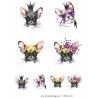 Lazer Design Klippark A4 Frallor Fransk Bulldog