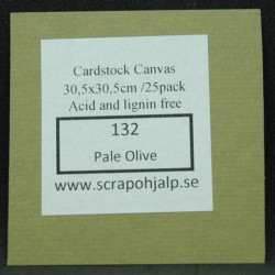 Scrap & Hjälp Cardstock...