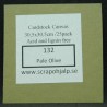 Scrap & Hjälp Cardstock Pale Olive 12"x12"